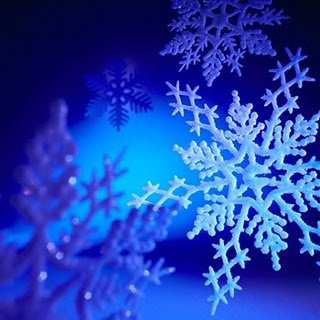 Poker Live: i principali tornei di dicembre 2011