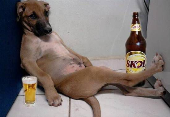 Natale da solo? Non lo auguro neanche a un cane
