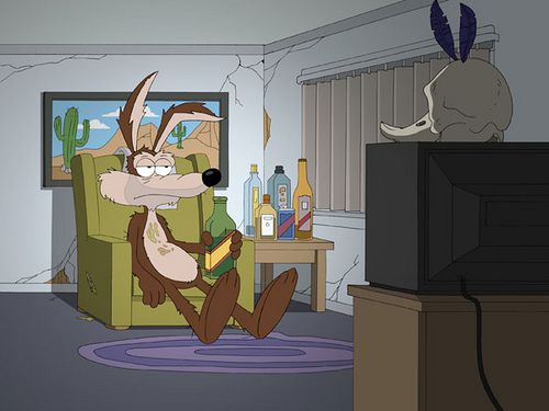 Willy dopo il ritorno dai Caraibi