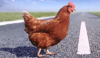 Che fine ha fatto il “pollo” nelle poker room Italiane?