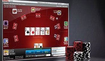 Bodog