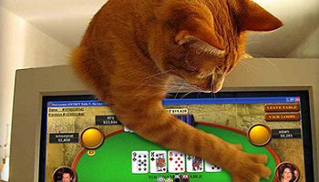 Poker e Risate: ma chi sono i moderatori delle chat di poker?