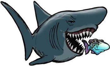 Poker online: dividere gli squali dai fish è una soluzione?