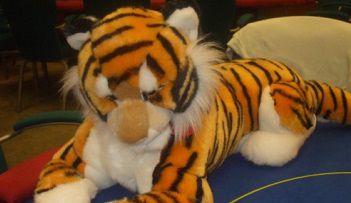 La mitica Tigre