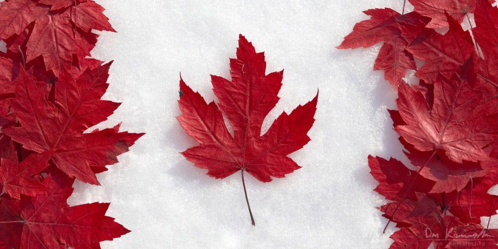 WSOP 2013: questo è stato l’anno del Canada