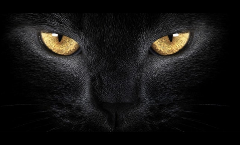 Vita da Grinder, Capitolo 10: Prigionieri della sfortuna