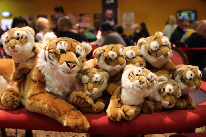 Tana delle Tigri: intervista a Claudio de Seriis “a settembre nuova tappa”